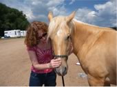 Cat with Kerry's Horse